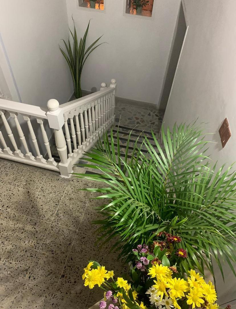Housetel Cocoon Guest house